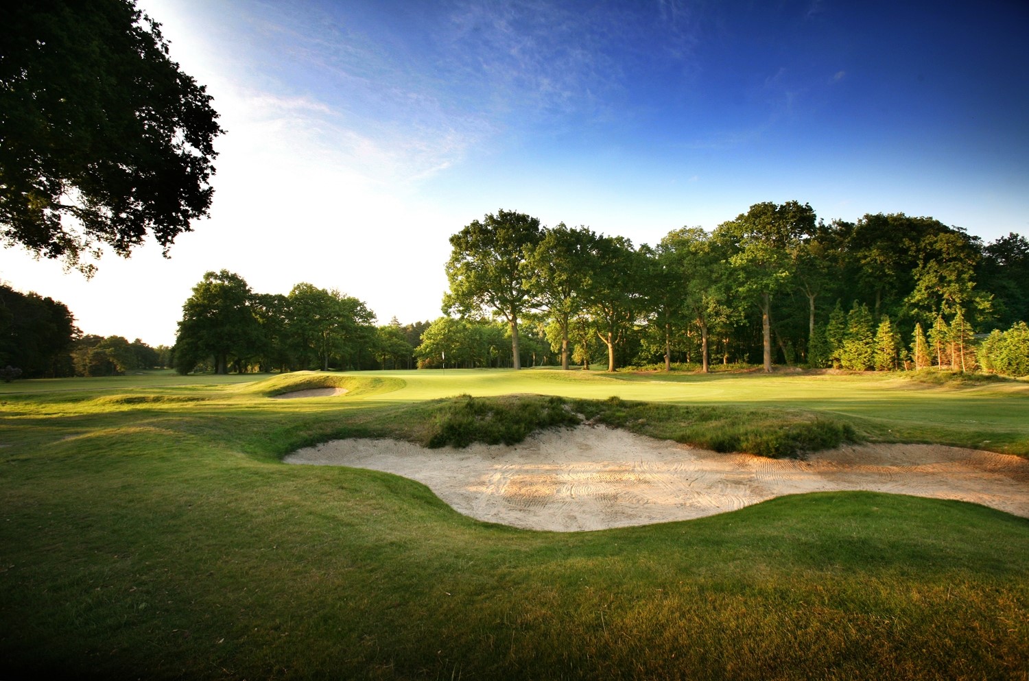 Spring Golf Day Wildernesse Golf Club The Children's Trust